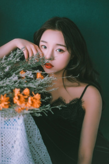 迷雾美剧